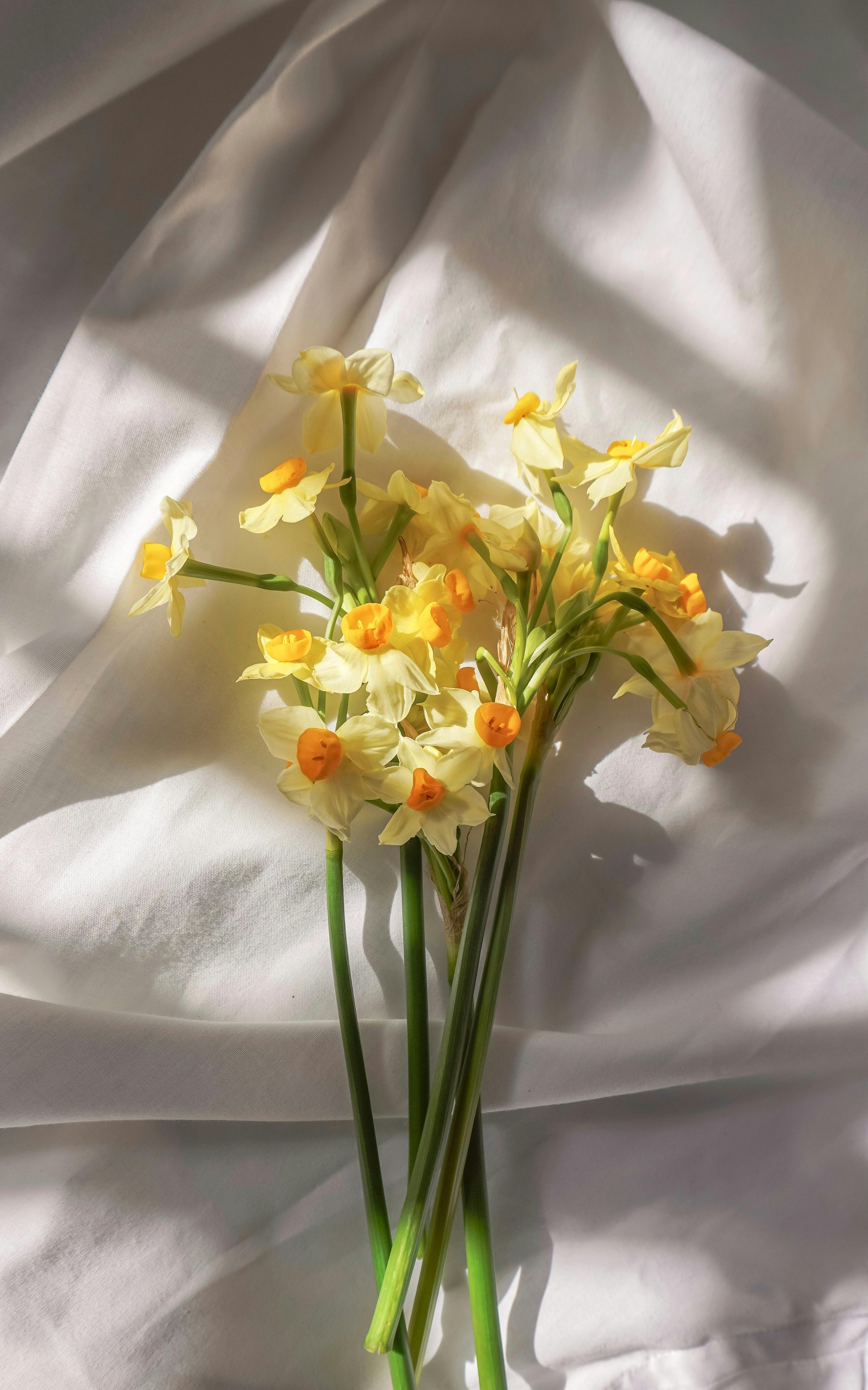 Accompagnement & conseils personnalisés